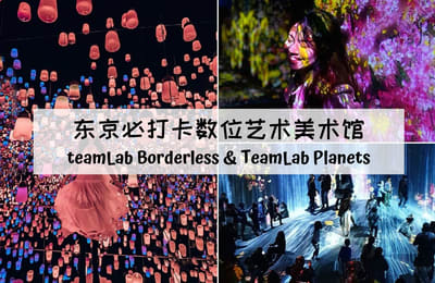 看了这些照片你还有理由不去「东京teamLab Borderless数位艺术美术馆」吗?