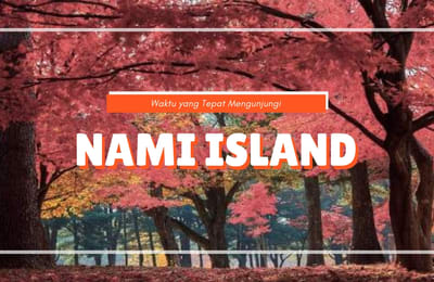 Waktu yang Paling Tepat untuk Mengunjungi Namiseom Island
