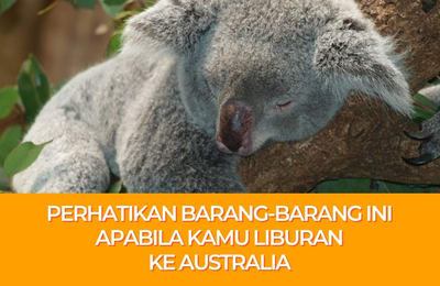 Barang-barang yang Diizinkan dan Dilarang untuk Dibawa ke Australia