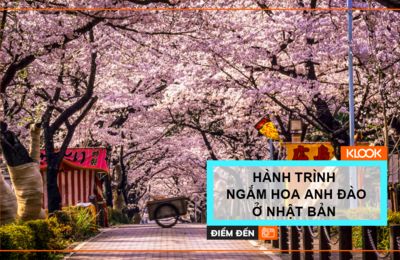 Hành trình ngắm hoa anh đào ở Tokyo, Kyoto, Hiroshima và Osaka