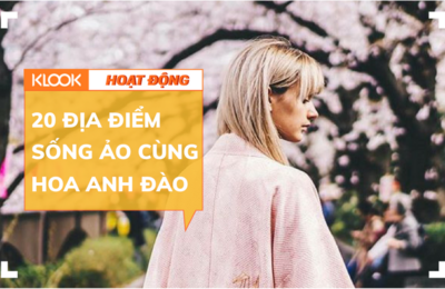 20 địa điểm ngắm hoa anh đào cho team sống ảo