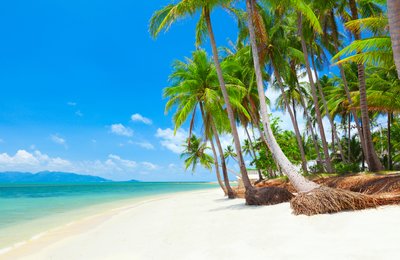 Koh Samui: The Alternative Island Getaway