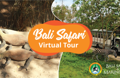 FREE Virtual Trip To Bali Safari And Marine Park ft. Baby Komodo Dragons