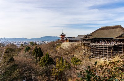 清水寺整修三年! 京都還有這些「必去景點」等你造訪!