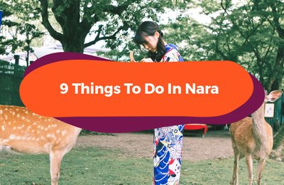 9 Things To Do In Nara: A Day Trip From Osaka