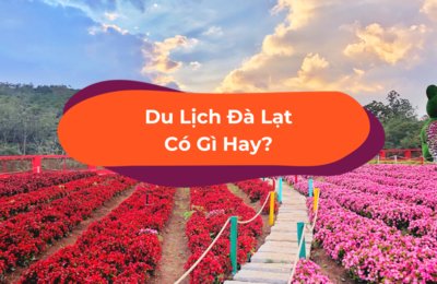 Mọi Điều Bạn Cần Biết Khi Đi Du Lịch Tự Túc Đà Lạt