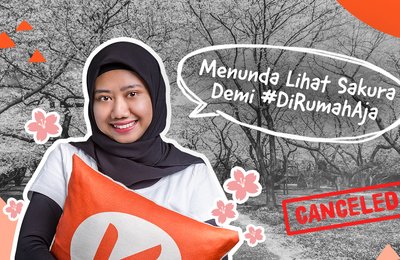 Klook Travel Stories: Mimpi Melihat Sakura pun Harus Ditunda karena Coronavirus