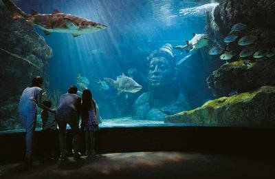 10 Tempat Wisata di Bangkok untuk Liburan Keluarga Bersama Anak-Anak