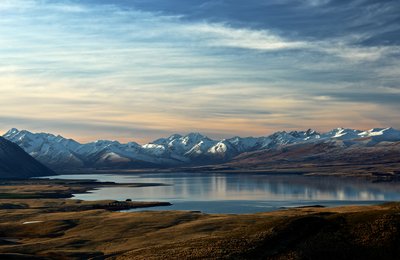 New Zealand Foods You Can’t Find Anywhere Else in the World
