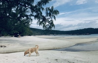 Kinh Nghiệm Đi Koh Rong Samloem "Săn" Hoàng Hôn