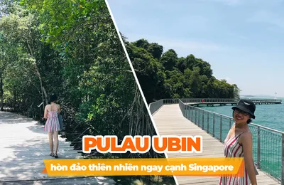 Một Ngày Ở Pulau Ubin, Hòn Đảo Thiên Đường Ngay Cạnh Singapore