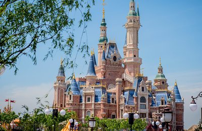 The Virtual Disney Experience!