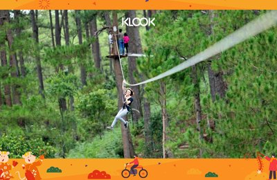 15 Ý Tưởng Du Lịch Tết Trong Nước Dành Cho Bạn