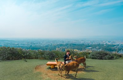 9 Ngày Vi Vu Osaka - Kobe - Kyoto - Nara
