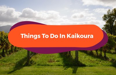 10 Things To Do In New Zealand’s Kaikōura: Soul-Stirring South Island Adventures