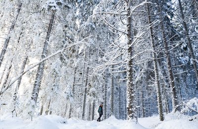 5 Ways to Travel Yourself Happy in 2020