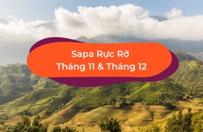 Du Lịch Sapa Tháng 11 & Tháng 12 Có Gì Hấp Dẫn?