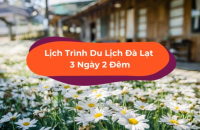 Lịch Trình Du Lịch Đà Lạt Tự Túc 3 Ngày 2 Đêm Cho Nhóm Bạn