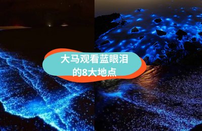 大马也能看到蓝眼泪的8大地点!不用到国外也能欣赏蓝光海滩💙