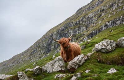 Great Weekend Road Trip in Scotland