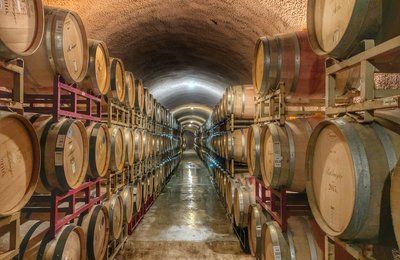California and Napa Valley Wine Guide