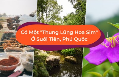 Suối Tiên, Phú Quốc - Thung Lũng Hoa Sim Ít Người Biết