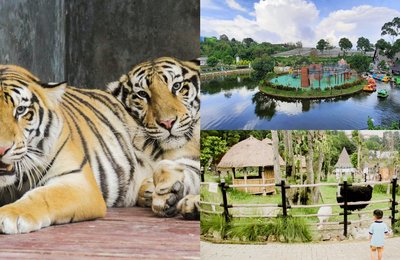 Lembang Park and Zoo: Info Lengkap Harga Tiket Hingga Cara ke Sana!
