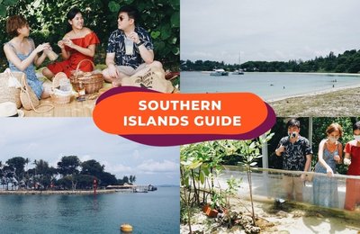Southern Islands Singapore: What To Do, How To Hop Between Islands & Exploring Marine Life