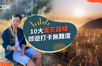 【香港芒草2021】10大秋冬賞芒好去處 簡易郊遊路線攻略
