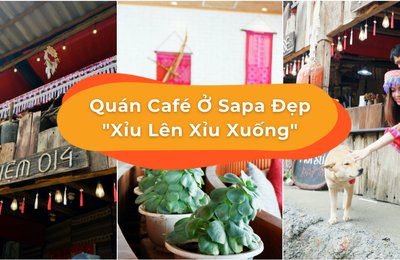 Check-in Ảo Diệu Ở 10 Quán Café Sapa Cực Lung Linh