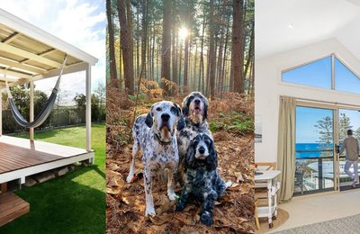 Pet-friendly Accommodation on the South Coast for the Purrfect Pawliday