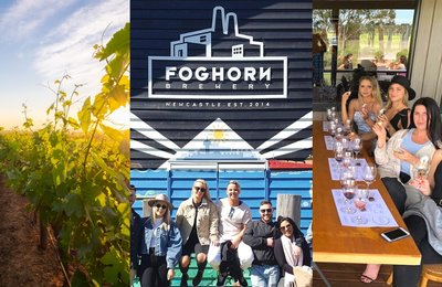 10 Best Hunter Valley Tours to Take You to Cloud Wine
