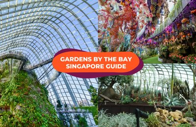 Gardens by the Bay, Supertree Grove and OCBC Skyway: What To Expect and What To Do