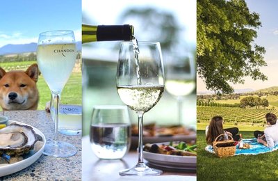 20 Amazing Wineries in the Yarra Valley You Cannot Miss