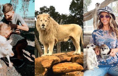 Everything You Need to Know about Hunter Valley Zoo