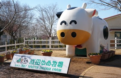 成田ゆめ牧場 現地レポ|想像以上に良かった5つのポイント
