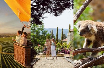 The 6 Best Things to Do in Yarra Valley on the Weekend