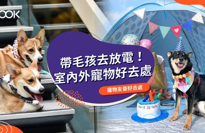 【狗狗好去處】室內外寵物放電好去處!寵物公園、寵物友善商場餐廳推介