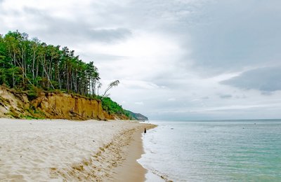 Bí Kíp Mua Vé Tàu Cao Tốc Đi Đảo Nam Du Tiết Kiệm