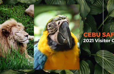 What You Need To Know Before Visiting Cebu Safari: Entrance Fees, New Park Hours and Guidelines, Discounts and More!
