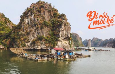 Review Tour Du Lịch Vịnh Hạ Long 2 Ngày 1 Đêm Chi Tiết