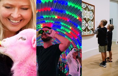 The 12 Best Things to do in Auckland Below $50