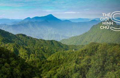 Du Lịch Huế, Đừng Lỡ Hẹn Với Vườn Quốc Gia Bạch Mã