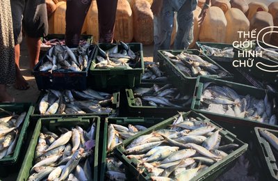Ghé Chợ Phan Thiết Khám Phá Văn Hóa, Ẩm Thực Đặc Sắc