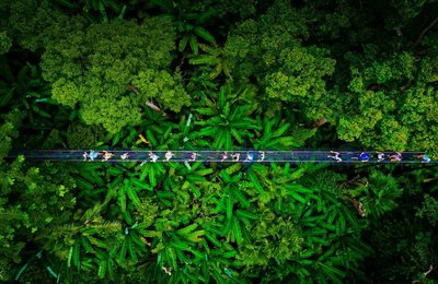 Phuket Sandbox 2021: Things to Do in Phuket—for both rainy and sunny days