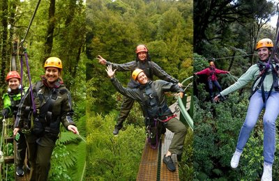 Rotorua Canopy and Zipline Tour Adventure Tips to Plan For The Best Visit