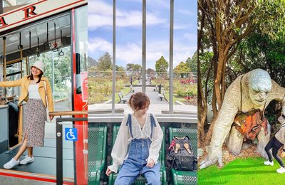 Top 15 Fun Things to Do in Wellington below $100