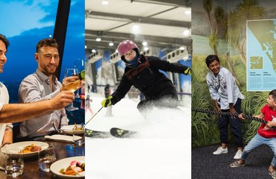 12 Best Things to Do in Auckland on a Rainy Day
