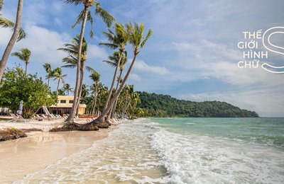 Đến Bãi Sao Phú Quốc, Hệ Sinh Thái Biển Hàng Đầu Việt Nam