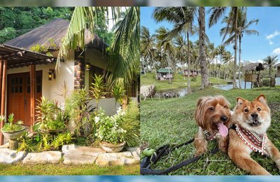 Need A Change Of Scenery? Visit These 10 Charming Farm Resorts In Laguna
